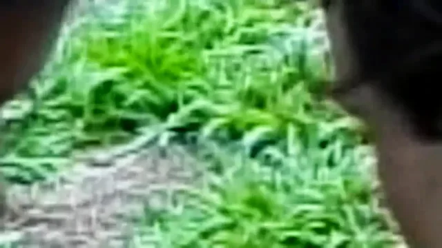 Hood Encounters Scene 9