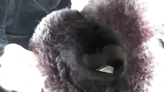 Extremely Stinky Feet From Fur Boots Sniffing Boots and Foot Fetish Fucking Lady