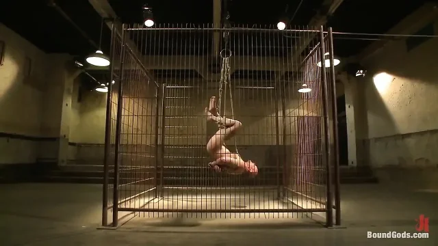 Caged and Fucked Like an Animal