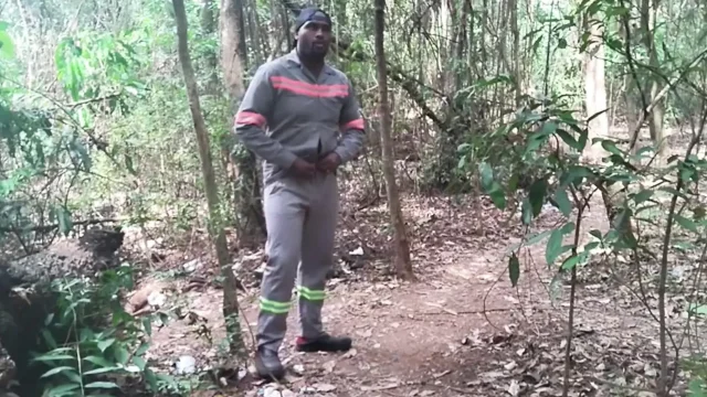I Went to the Lagoon to Take a Piss and Masturbate