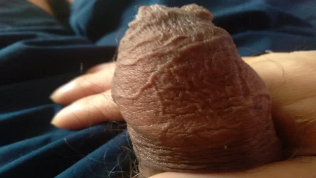 My delicious penis wants you to milk it dry and swallow it