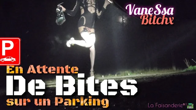 Waiting for nice cocks ass in the air in parking lot at night La Faisanderie91 VaneSsaBiTCHx PariSChienneTrvprod91