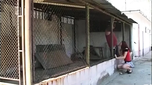 German Amateurs Fuck Parties and Wet Pussies