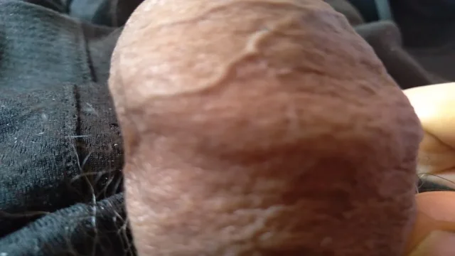 monster cock enjoys the pleasurable life