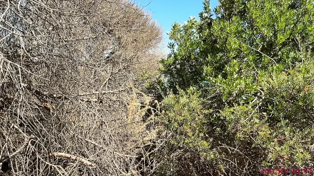 The Best Spot to Cum on My Tits