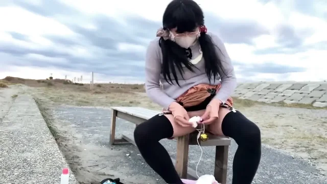 Trainer's Command No 29 Public Beach Exhibitionism