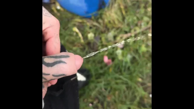 For a Perverse Video of Mine