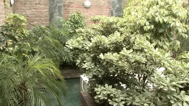 Blonde slut is getting a bang from her horny black guy