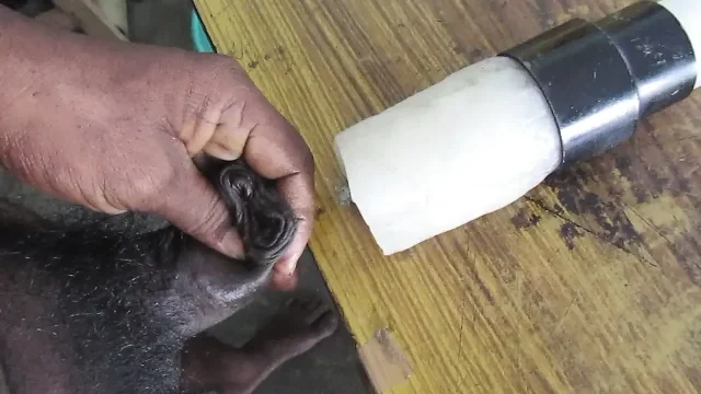 Home Made Male Fuking Machine Part 2