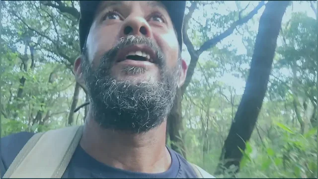 Walking in the woods 2