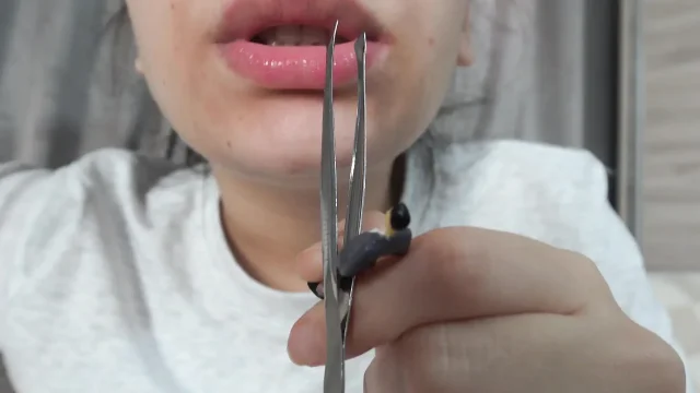 My Giantess Stepsister Plays Dentist with Tiny Stepbrother