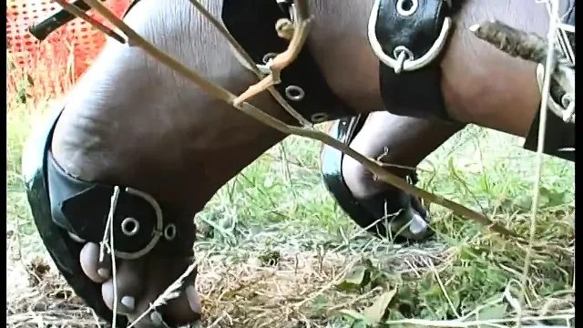 Brazilian black shemale rides a hard cock and cums