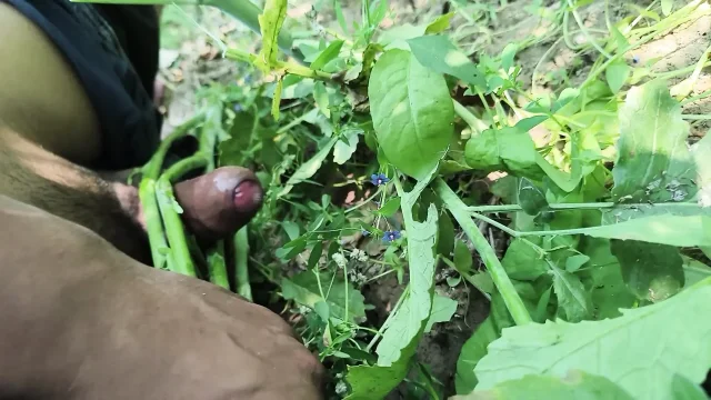 Desi village sarso ke khet me manoranjan