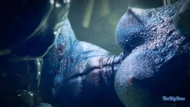 Argonian Wrinkled Alchemy