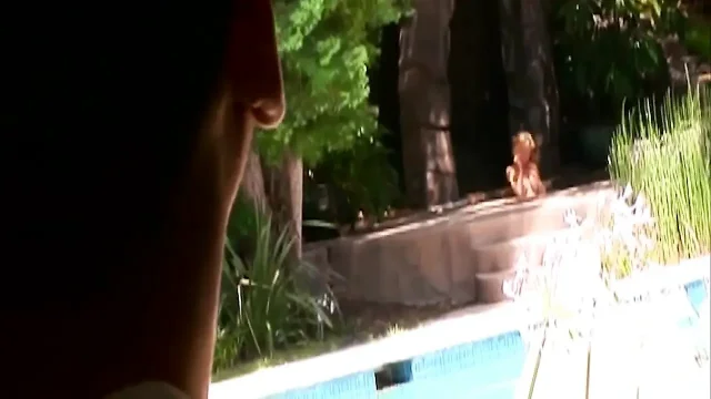He Is Lying by the Pool When She Sits on His Cock