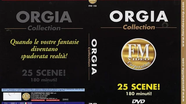 Orgy Collection