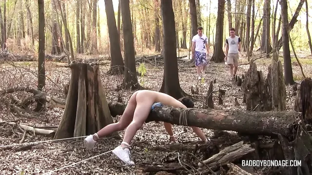 Found a Sucker in the Woods