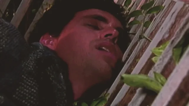 Gay Island Scene 1 Hot Gay Guys Fuck Each Other's Asses in the Garden