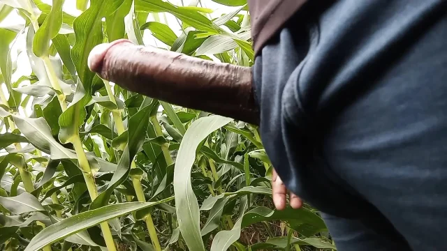 Makka ke khet me oil se malish apne lambe land ki