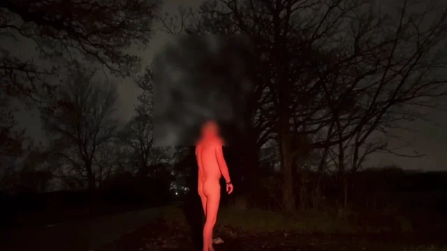 Wanking naked when a car passed by