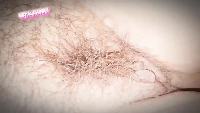 Nepali Hairy Pussycat
