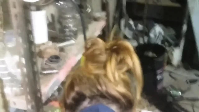 Compilation 21 4