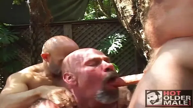 Sonoma Heat Muscle Bear 3-way