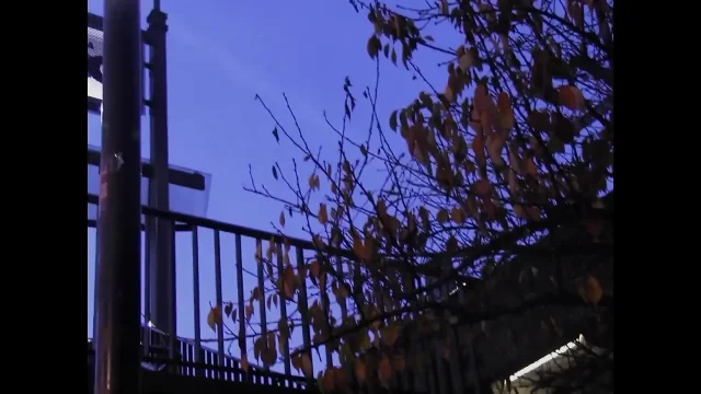 Lesbians in Several Fucking Sessions