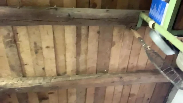 Fuck my pussy hard