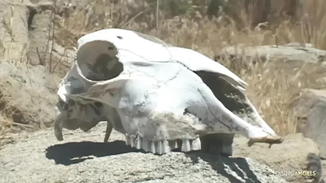 They got this blonde bitches bag so she ended up in a wild desert orgy