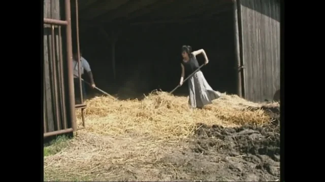 Depraved Break on the Farm