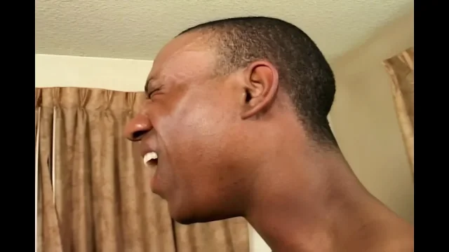 A Rock Instead of an Ass