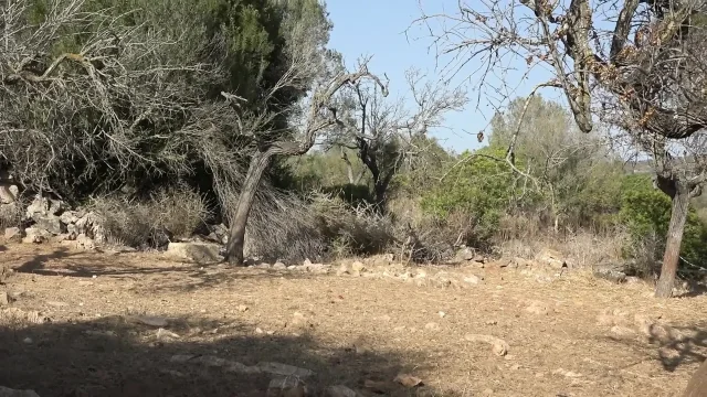 Bitch gets pussy fucked from behind while sucking another big cock