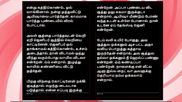 Tamil Sex Story - Auditor Aiysha's Sex Experiences part 5