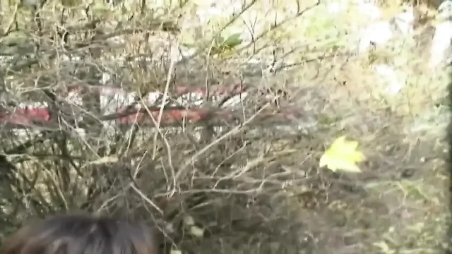 Teenenger Fucked in the Park and Squirted in Mouth