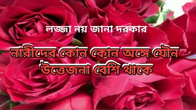 The story of the love of stranger Bengali Adult Audio Story