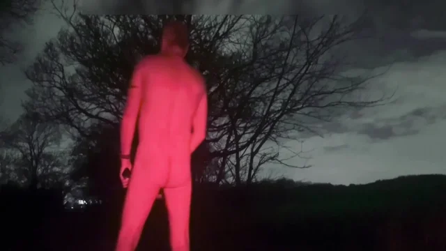 Wanking naked outside of car driver slowed down