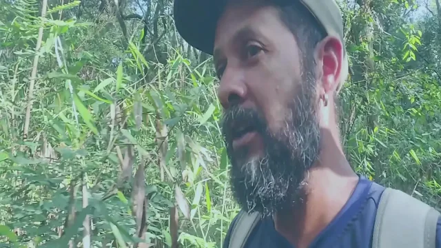 Walking in woods -