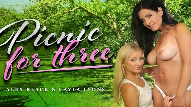 Picnic for Three