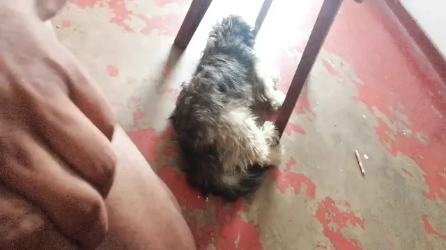 Step Mother Has Some Needs Home Alone