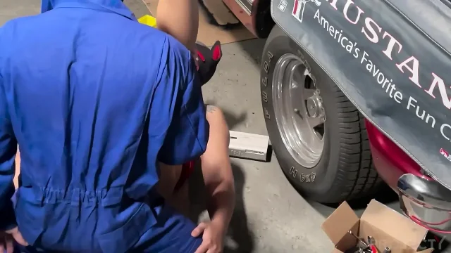 Workshop pup let me screw you