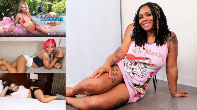 BLACK TGIRLS - Compilation Updates 3rd to 7th Nov '25