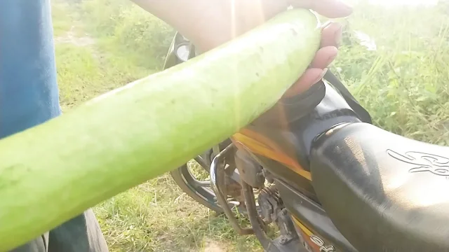 Today I went to the forest and masturbated and put the semen in my ass