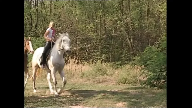 Soft Anal Porn Vintage of Huge Cocks Cumming with Pleasure full Movie