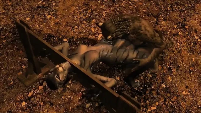 Khajiit Bound and Used in Dungeon