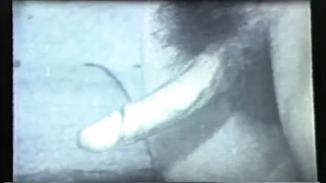 Wild Perverted Sluts