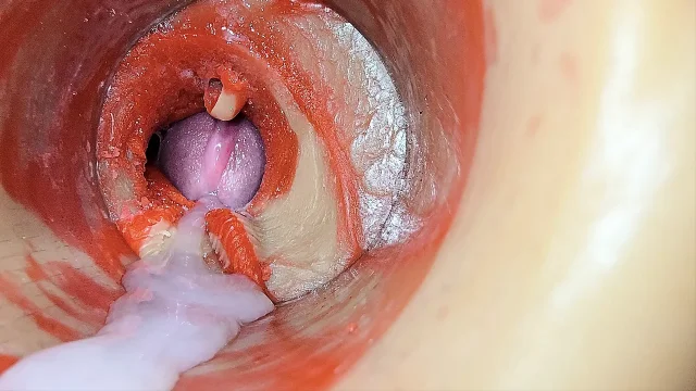 Female Insemination Internal Camera Captures Deep Male Huge Ejaculation