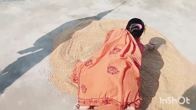 Desi Village Fucking Sex Video