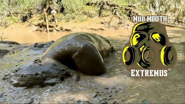 MUD MOUTH