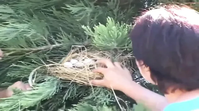 Hairy pussy milf in the garden